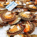 Coquilles St Jacques